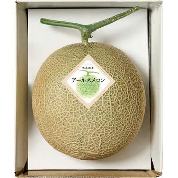 熊本県産 アールスメロン ノーブランド