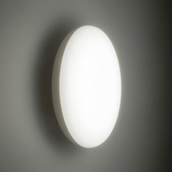LED浴室灯 「電気工事必要」 オーム電機