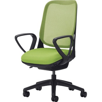 No.3566F-K ���C�h LION (���C�I��������) �L���X�^�[���� 62809873