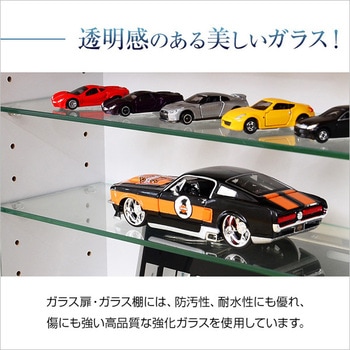 コレクションラック【-Luke-ルーク】浅型ハイタイプ ホームテイスト