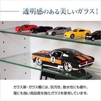 コレクションラック【-Luke-ルーク】浅型ハイタイプ セット(本体+上置き) ホームテイスト