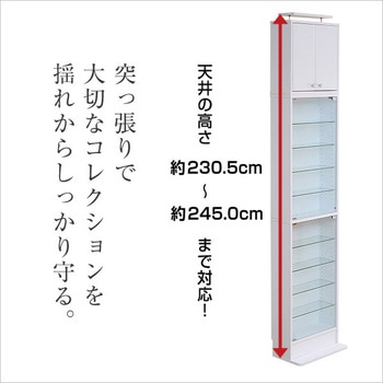 コレクションラック【-Luke-ルーク】浅型ハイタイプ セット(本体+上置き) ホームテイスト