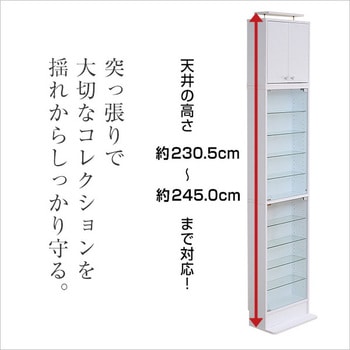 コレクションラック【-Luke-ルーク】浅型ハイタイプ(専用上置き) ホームテイスト