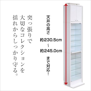 コレクションラック【-Luke-ルーク】深型ハイタイプ(専用上置き) ホームテイスト