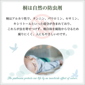 天然木使用 通気性抜群 抗菌・防カビ・調湿効果 軽量押し入れ桐すのこ 8枚入り ホームテイスト