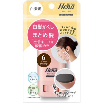 テンスター 白髪用カラースティック DBR 三宝