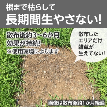 除草剤 シャワー剤 持続性 モノタロウ