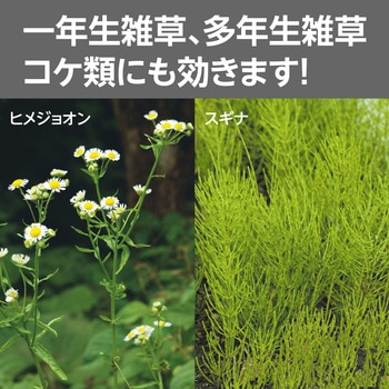 除草剤 シャワー剤 持続性 モノタロウ