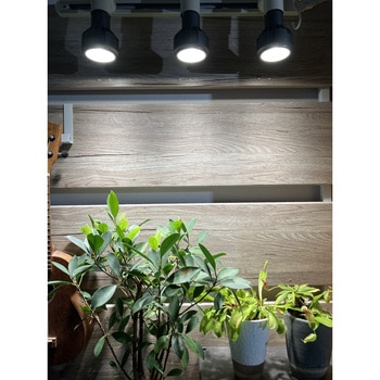 WIDEな光で植物を育てるLEDライト - イノベックス(旧:ダイオ化成)