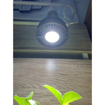 光と風で植物を育てるLEDライト イノベックス(旧:ダイオ化成)