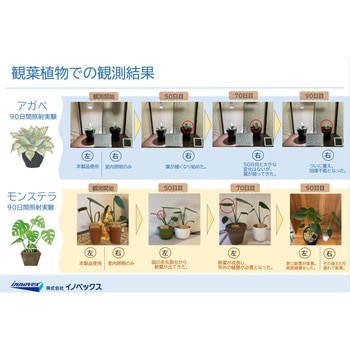 光と風で植物を育てるLEDライト イノベックス(旧:ダイオ化成)