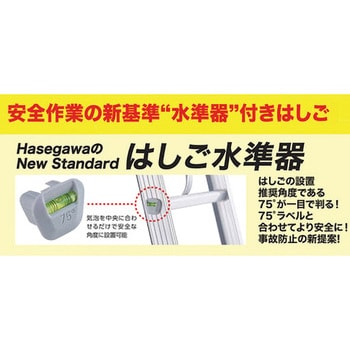 LSK2-1.0-61 脚部伸縮式2連はしご ノビ型 1台 長谷川工業 【通販サイト