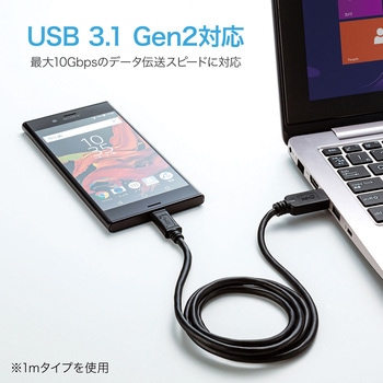 USB TypeC-Aケーブル サンワサプライ