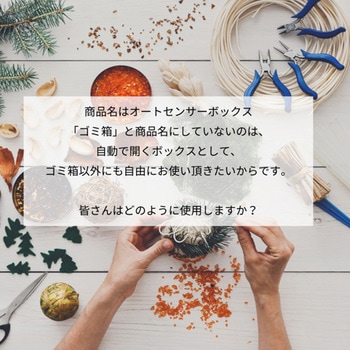 オートセンサーボックス CCP