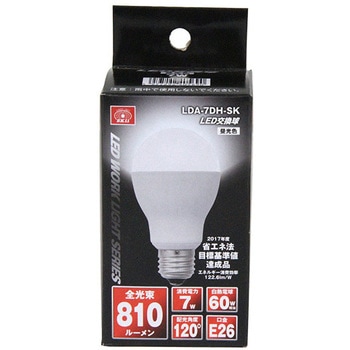 LED交換球 SK11