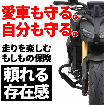 パイプエンジンガード HORNET1000 - DAYTONA(デイトナ)