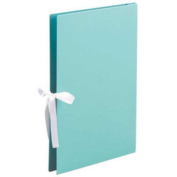 カラーエイナーファイルA4R EX 美濃商会