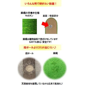 爪とぎサボテン 吸盤貼付けタイプ - ペットアイ