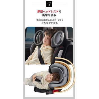 【R129】ウェルドン・コクーントリップ - ナカバヤシ
