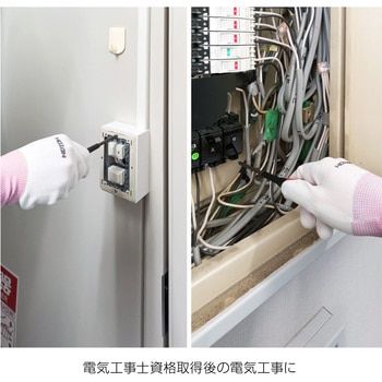 作業用グローブ(3双入) ホーザン