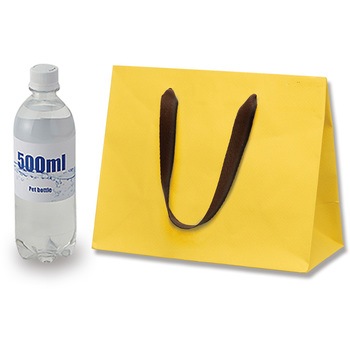 26-12 手提げ紙袋 カラーバッグ 1パック(5枚) HEIKO 【通販