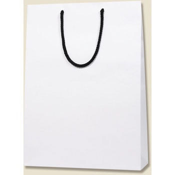 G2 �u���C�g�o�b�O HEIKO 62960643