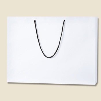 55-15 �u���C�g�o�b�O HEIKO ��550mm�}�`150mm����410mm 1�p�b�N(10��) 62960686