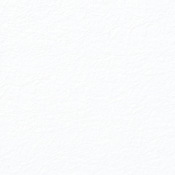 NO�D1 �a�� ���̎q �G���{�X HEIKO 62961368