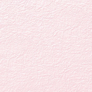 NO�D22 �a�� ���̎q �G���{�X HEIKO 62961395