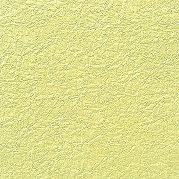 NO�D14 �a�� ���̎q �G���{�X HEIKO 62961413