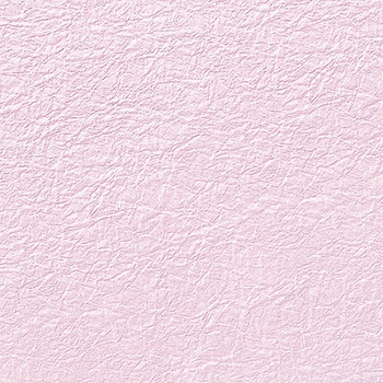 NO�D24 �a�� ���̎q �G���{�X HEIKO 62961438