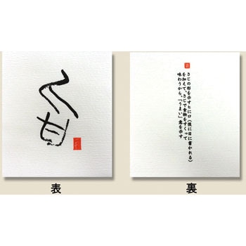 �| 50P ���t���R�[�X�^�[ ���񂾂� 62966548