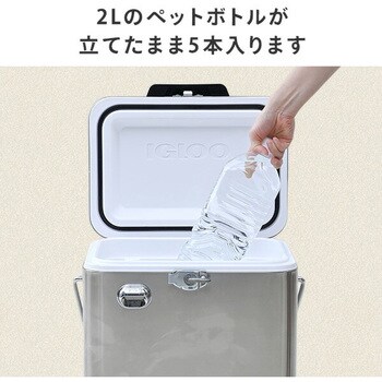 ABG-12345(WH) クーラーボックス ステンレス レガシー 20 (19L
