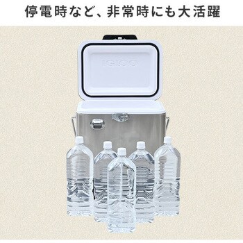 ABG-12345(WH) クーラーボックス ステンレス レガシー 20 (19L
