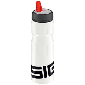 水筒 アルミニウム製ボトル ダイナミック0.75L SIGG(シグ)