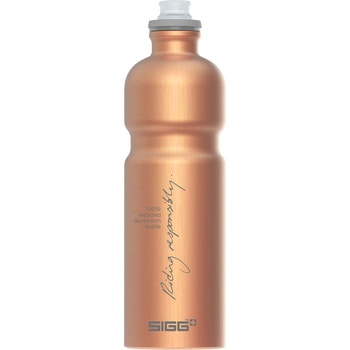 水筒 アルミニウム製ボトル ムーブマイプラネット 0.75L SIGG(シグ)