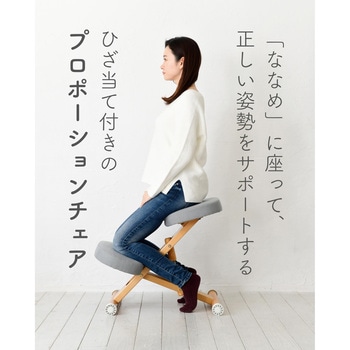 プロポーションチェア カバー付き ミヤタケ(宮武製作所)