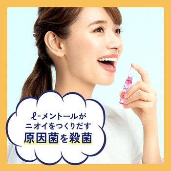 スキンベープミストイカリジンプレミアム フマキラー