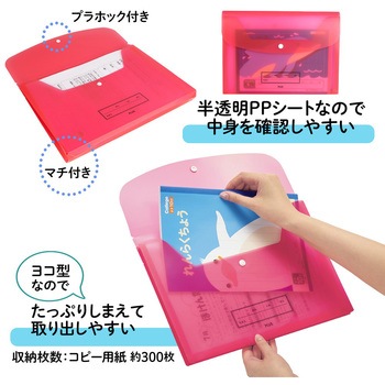 ファイル 年組氏名 スクール れんらく袋 プラス(文具)