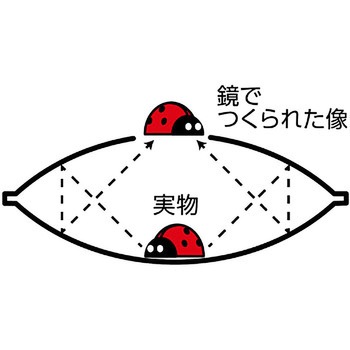 ミニ3Dマジックスコープ(てんとう虫模型付き) アーテック(学校教材・教育玩具)