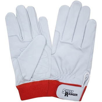 RM-702 富士グローブ