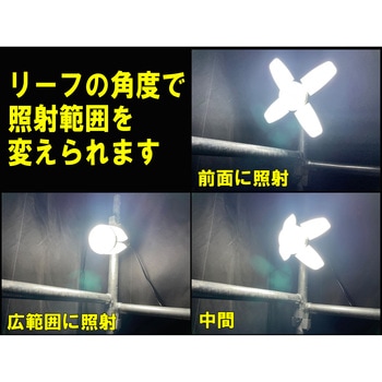 LEDリーフライト2 50W SK11
