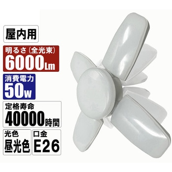 LEDリーフライト2 50W SK11
