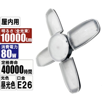 LEDリーフライト2 80W SK11