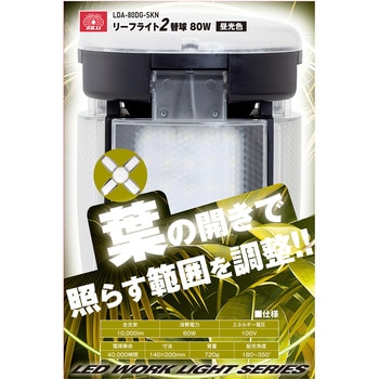 リーフライト替球 80W SK11