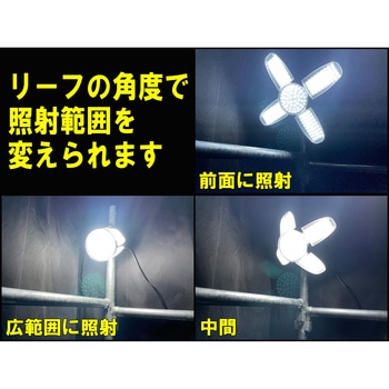リーフライト替球 80W SK11