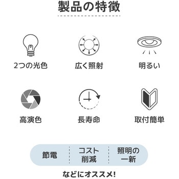 wasser  LED電球 GX53 大河商事