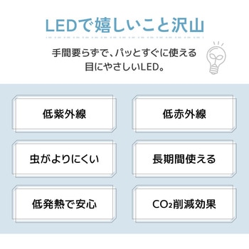 wasser  LED電球 GX53 大河商事