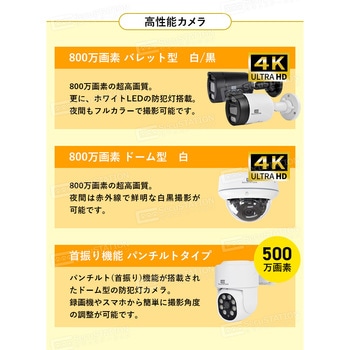 SecuSTATION DZシリーズPoE8ch録画装置+800万画素防犯カメラ8台セット SecuSTATION