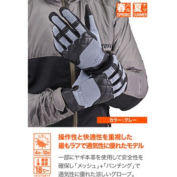 DG-010 スローバックメッシュグローブ DAYTONA(デイトナ)